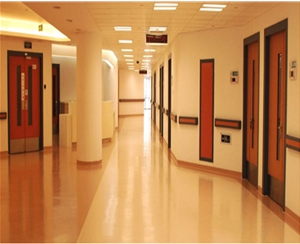 木質(zhì)隔熱防火門